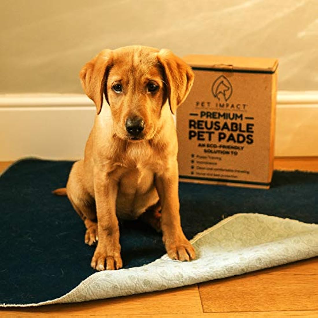 PET IMPACT Washable Puppy Pads, Dog Incontinence Pads, XL Reusable Dog Pee Pad and Puppy Training Pads, Easy Wash and Dry 2-Pad Box (Midnight Blue, 35"x32")