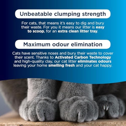 Ever Clean Clumping Cat Litter, Scented Cat Litter, Litterfree Paws, Long-lasting Freshness, Dust-Free Formula, 10 l (Pack of 1)