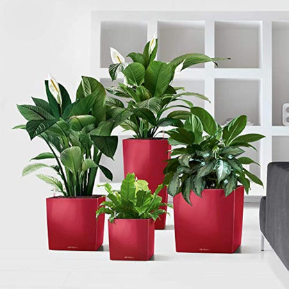 LECHUZA CUBE Premium 50 scarlet red high gloss 16567
