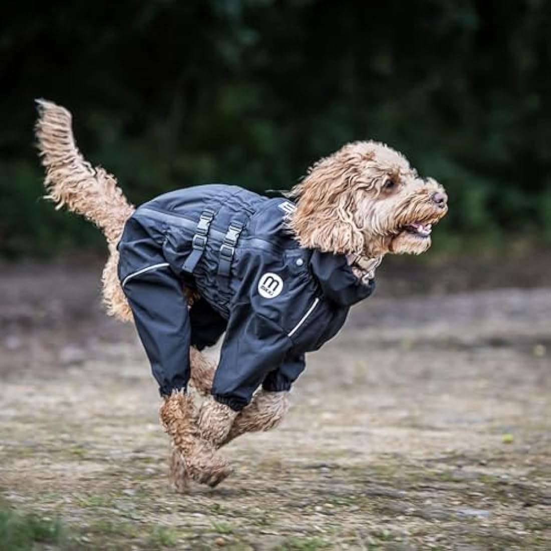 Mikki Doodles Dog Raincoat, Waterproof, Windproof, Silky Lining, Less Friction Means Less Knots & Tangles, Size Medium c