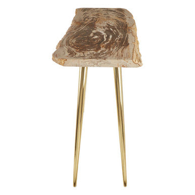 Relic Petrified Wood Console Table