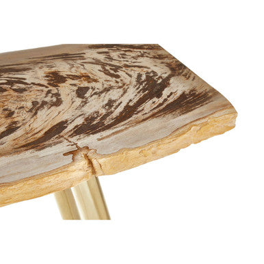 Relic Petrified Wood Console Table