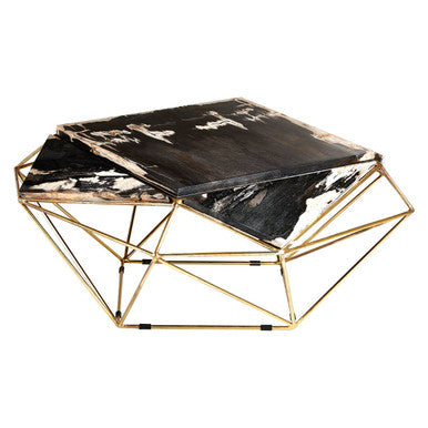 Relic Dark Petrified Wood Geometric Coffee Table