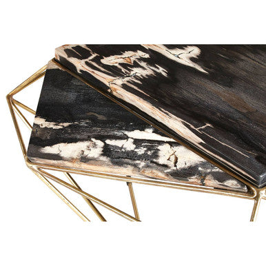 Relic Dark Petrified Wood Geometric Coffee Table