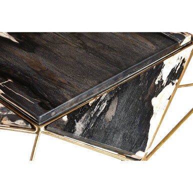 Relic Dark Petrified Wood Geometric Coffee Table