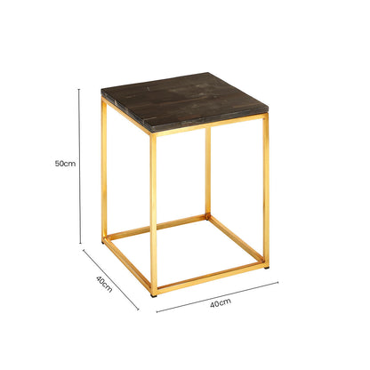 Black Petrified Wood Top Square Side Table with Gold Warm Brass Iron Base | Relic