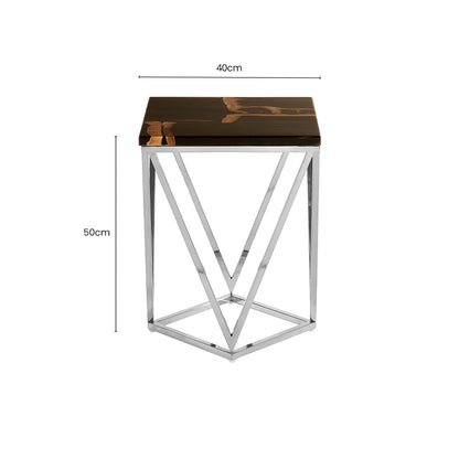 Dark Petrified Wood Side Table with Rustic Grained Top and Silver Stainless Steel Frame | Relic