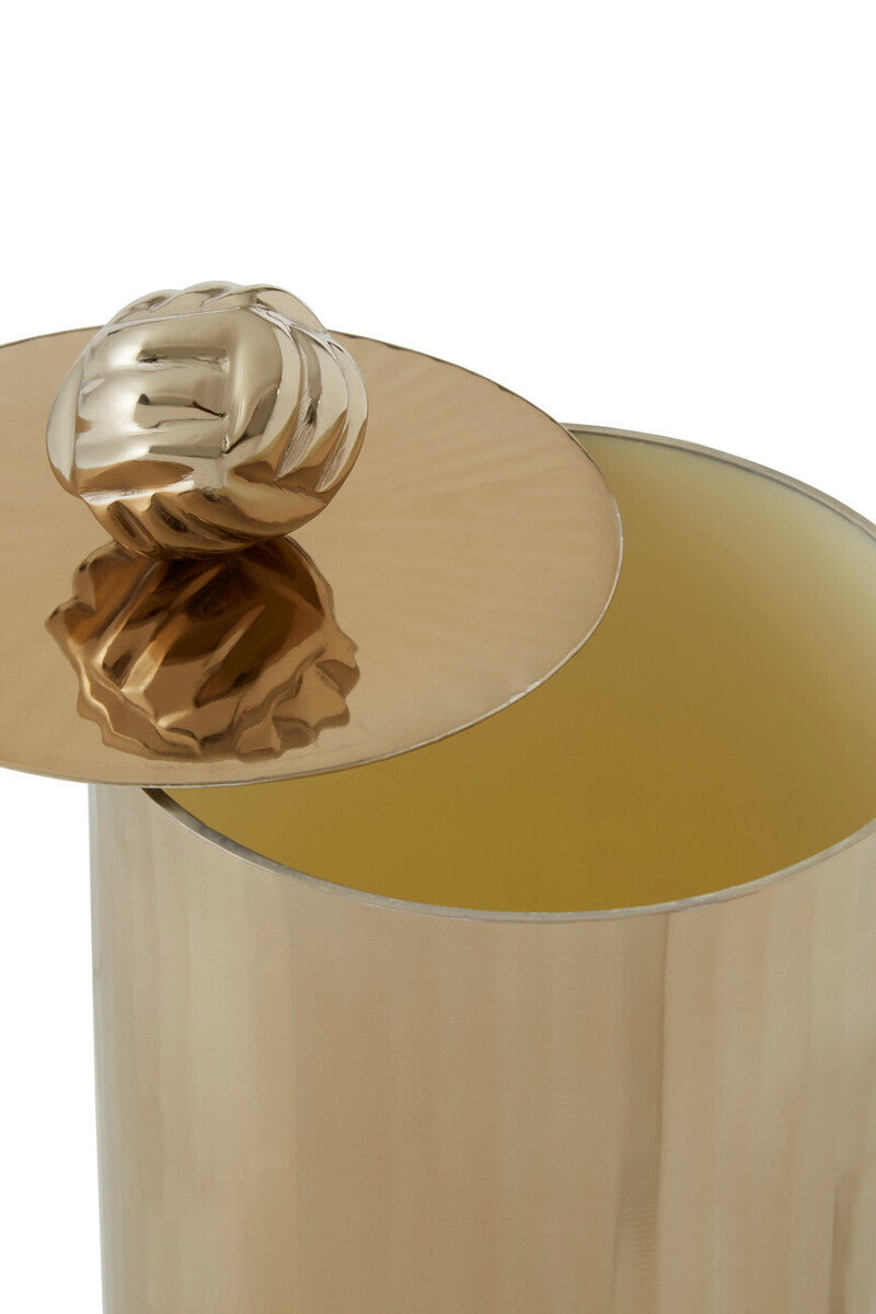 Amreli Vertical Textured Metallic Gold Finish Small Trinket Box