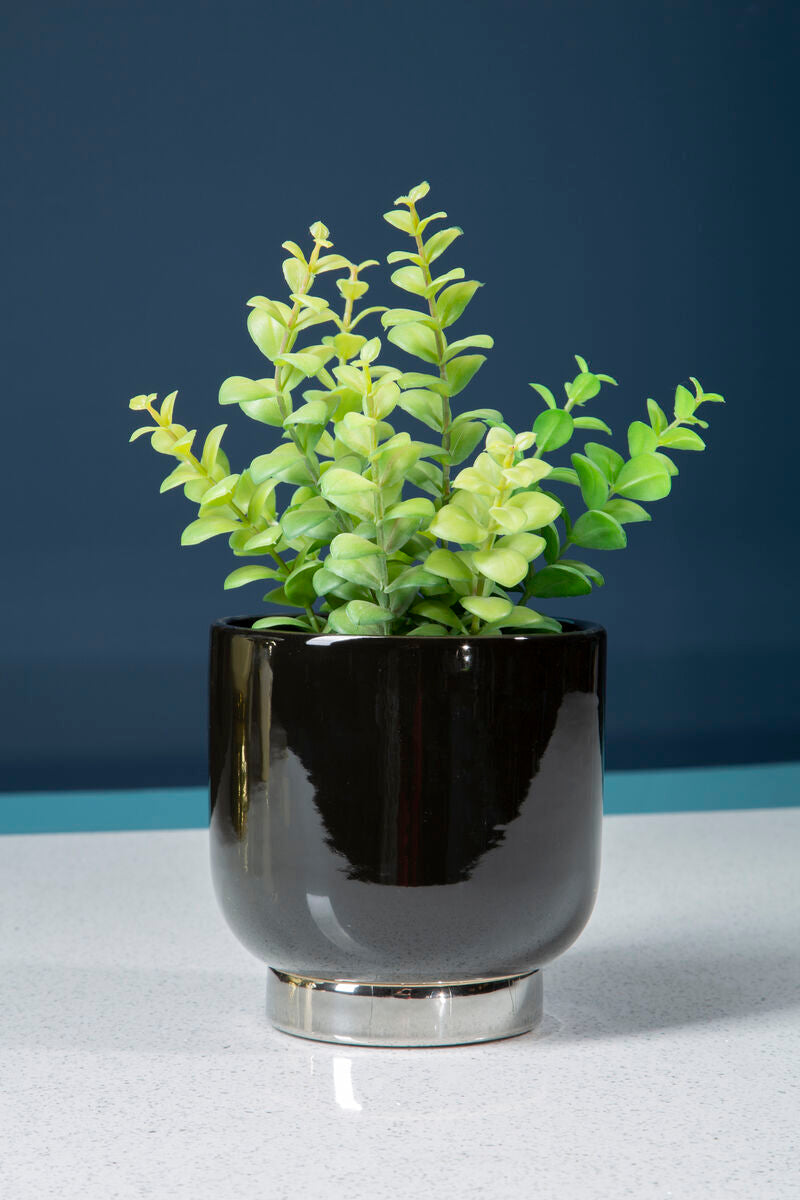 Callie Black Small Planter With Silver Finish Base