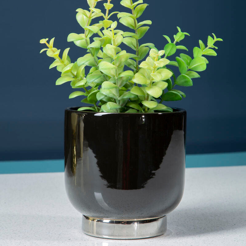 Callie Black Small Planter With Silver Finish Base
