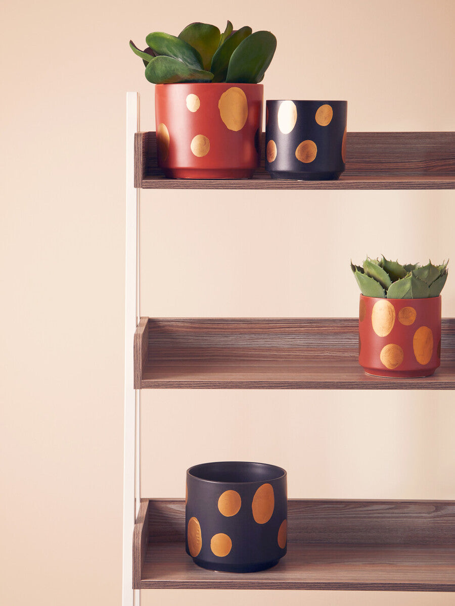 Yuri Ceramic Planter