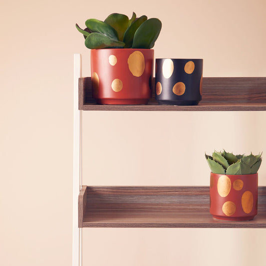 Yuri Large Terracotta Gold Spotted Planter