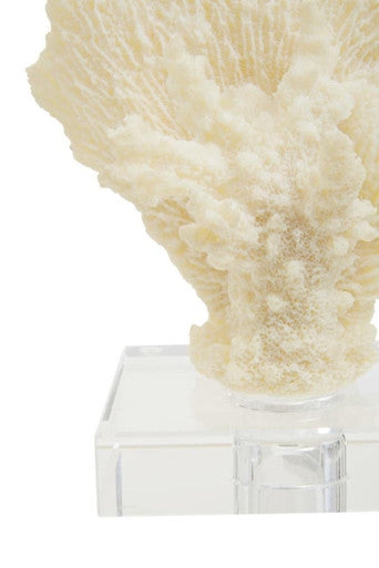 Boho Small White Coral Decor