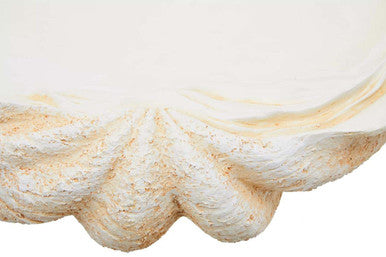 Byron Large Clam Shell Bowl