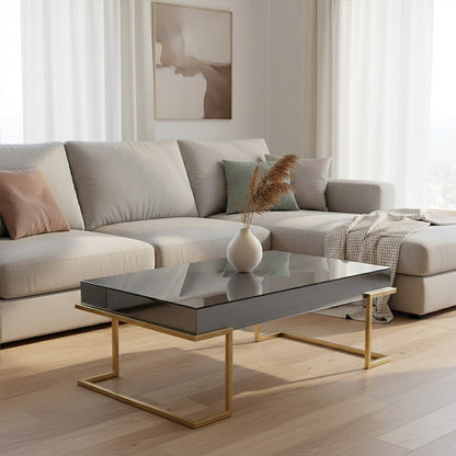 Mirrored Rectangular Coffee Table in Gold and Grey Finish | Kaso