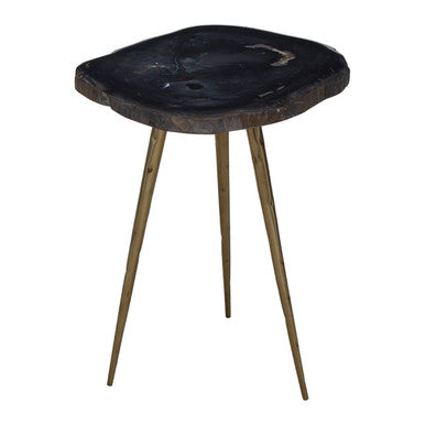 Relic  Petrified Wood Top and Brass Finish Legs Side Table