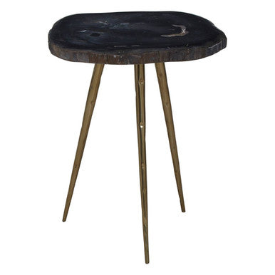 Relic  Petrified Wood Top and Brass Finish Legs Side Table