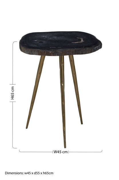 Relic  Petrified Wood Top and Brass Finish Legs Side Table