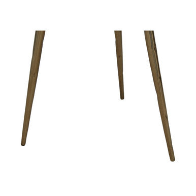 Relic  Petrified Wood Top and Brass Finish Legs Side Table