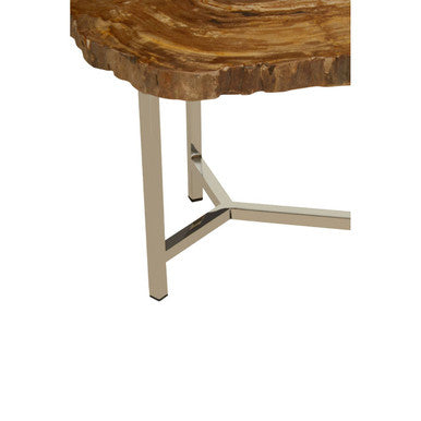 Relic Small Petrified Wood Side Table