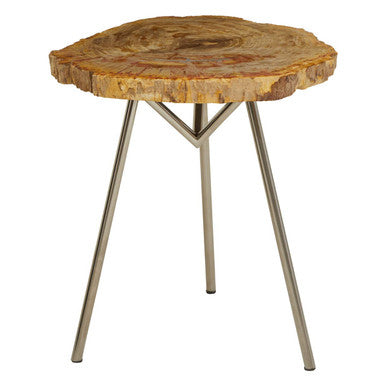 Relic Large Petrified Wood Side Table