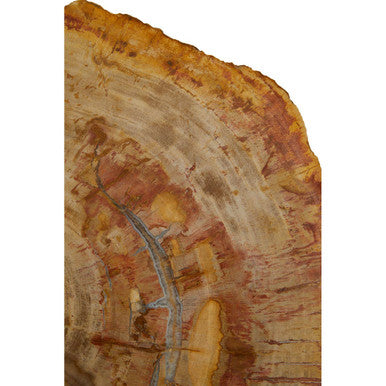 Relic Large Petrified Wood Side Table