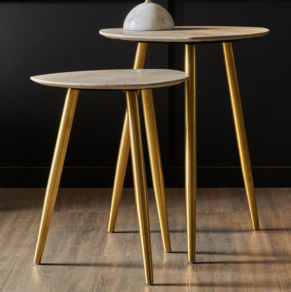 Set of 2 Natural Shagreen Leather Round Top Side Tables with Gold Finish Legs | Cadio