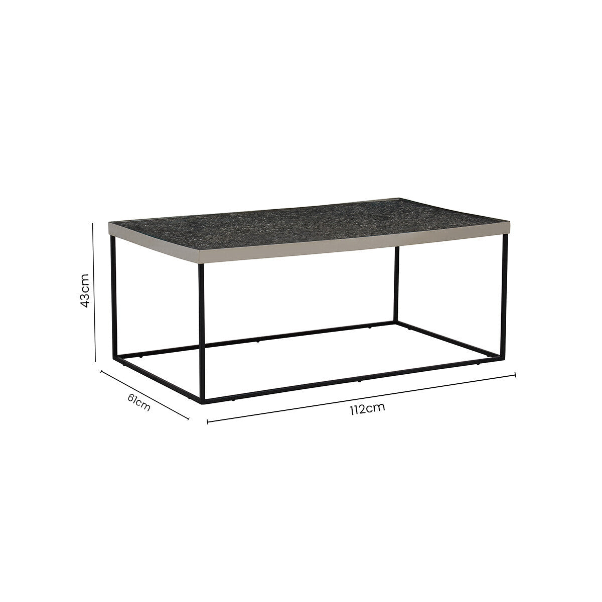 Akola Silver Metal and Glass Coffee Table with Black Legs