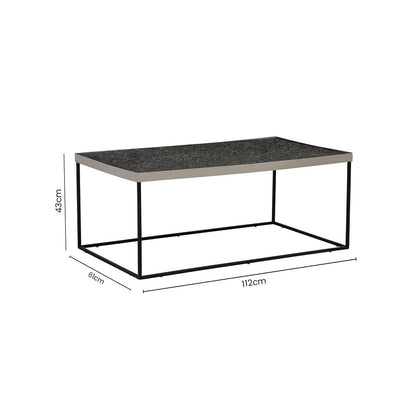 Akola Silver Metal and Glass Coffee Table with Black Legs
