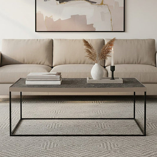 Akola Silver Metal and Glass Coffee Table with Black Legs