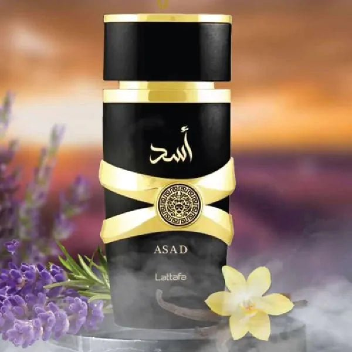 Lattafa Asad Eau de Parfum Spray 100ml