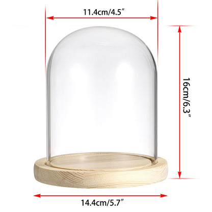 SUMNACON Glass Display Cloche Dome with Solid Wooden Base, 11.4*15cm