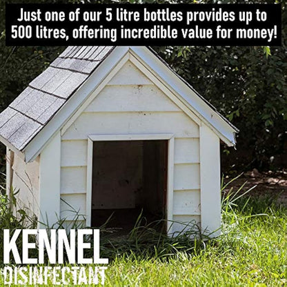 ULTIMA-PLUS XP Kennel Kleen - Disinfectant, Cleaner, Sanitiser, Deodoriser, Concentrated, For use in Kennels, Catteries, Hatches and More! Lavender Fragrance, 5 L