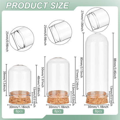 BENECREAT 24Pcs 3 Size Small Glass Display Dome Cloche, Glass Display Dome with Cork Base