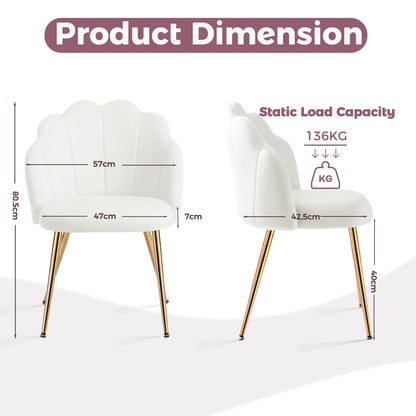 Eufurnibi Velvet Shell Chair with Gold Legs, Vanity Chair for Bedroom Dressing Table, White Upholstered Accent Chair for Living Room
