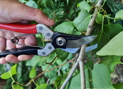 Kimura? 8" Samurai Garden Secateurs, [Made in Japan], Heavy Duty Premium Japanese Yasugi Steel Blades, Non-Slip Vinyl Coated Handles, Lightweight &