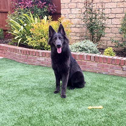 WEE FREE 5 Ltr Artificial Grass Cleaner and Pet Odour Eliminator for Dog Urine - Neutraliser and Deodoriser for Dog Wee on Astro Turf and Fake Lawns. Safe for Dogs and Animals.