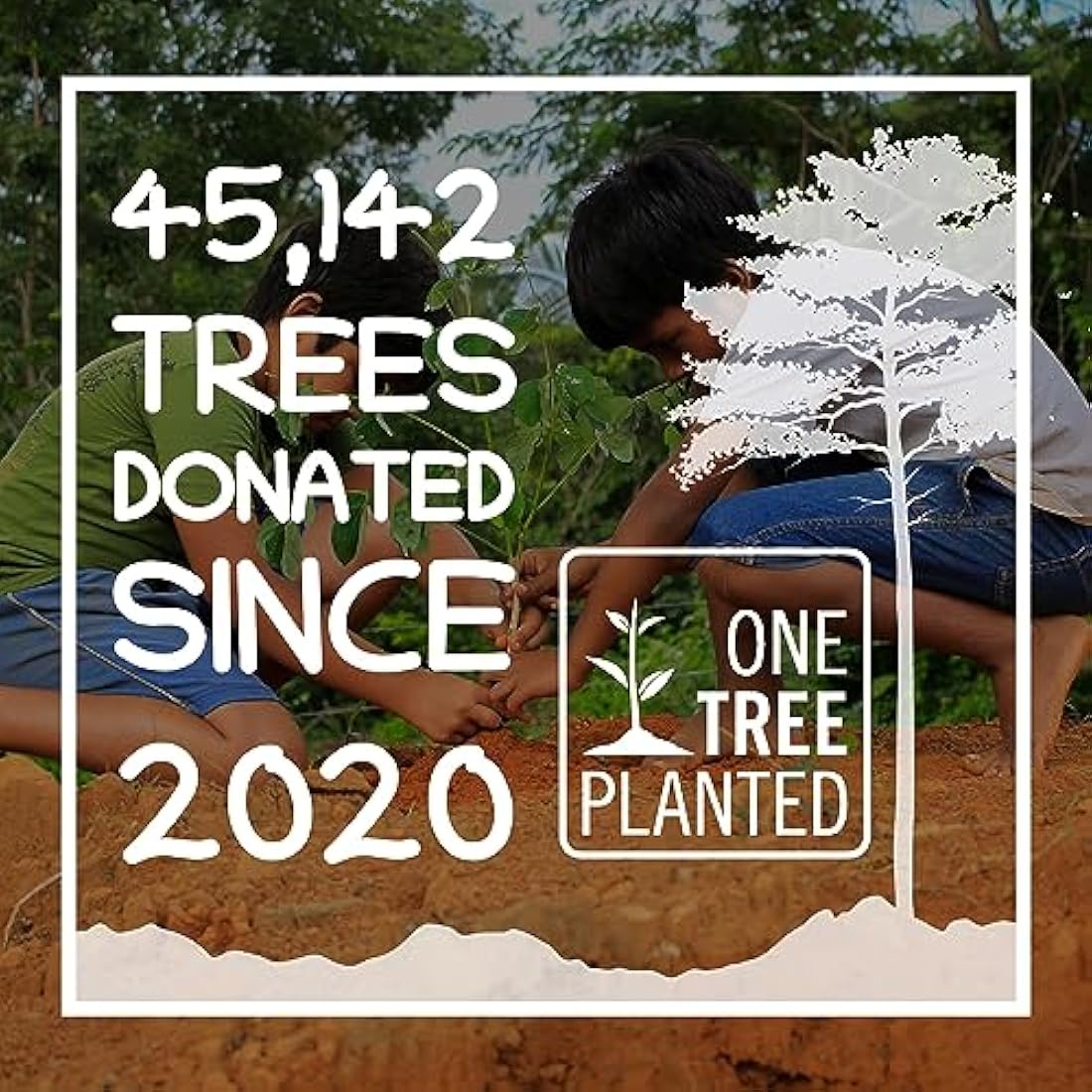 Wild Bird Food Seed Feed Mix with Suet Pellets For Small Garden Birds 5kg - SeedzBox - Deluxe Grains & Nuts, Natural Food for Wrens Robins & Finches - Maize Fats & Fibres