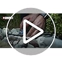 Paulmann 93930 Outdoor Plug & Shine Cable IP68 10m 1 in-5 Out 2x1,5mm² Black Plastic, 1000 x 1.5 x 1.5 cm