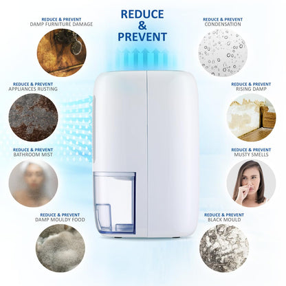NETTA Dehumidifier 800ml Mini Air Dehumidifier for Damp, Mould, Moisture, Portable and Ultra Quiet for Home, Bathroom, Bedroom, Kitchen, Wardrobe,
