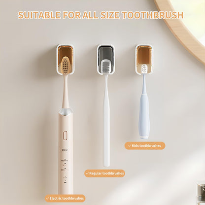 Wall Mounted Toothbrush Holders for Bathroom