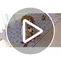 PmakeEorT Puppy Pads Washable, 2 Pack Reusable Dog Training Pads Fast Absorption, Waterproof Dog Mat Whelping Pee Pads for Playpen, Crate, Floor - 90x120 cm