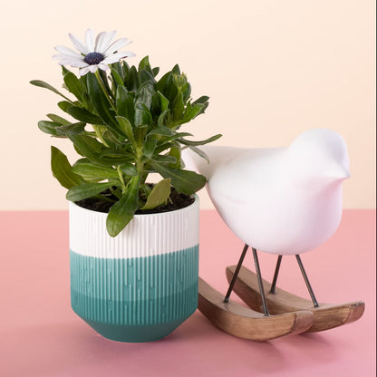 AmeliaHome Ceramic Storage Box Ombre Pattern Organiser Flower Pot 9 x 9.8 cm Fino Powder Pink White
