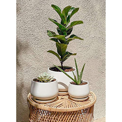 LE TAUCI Plant Pots, 10+13+16 cm Planters, Set of 3 Ceramic Planters with Drainage Hole and Saucer, Indoor Plant Pot with Hole Mesh Pad, Gifts for Mom, White