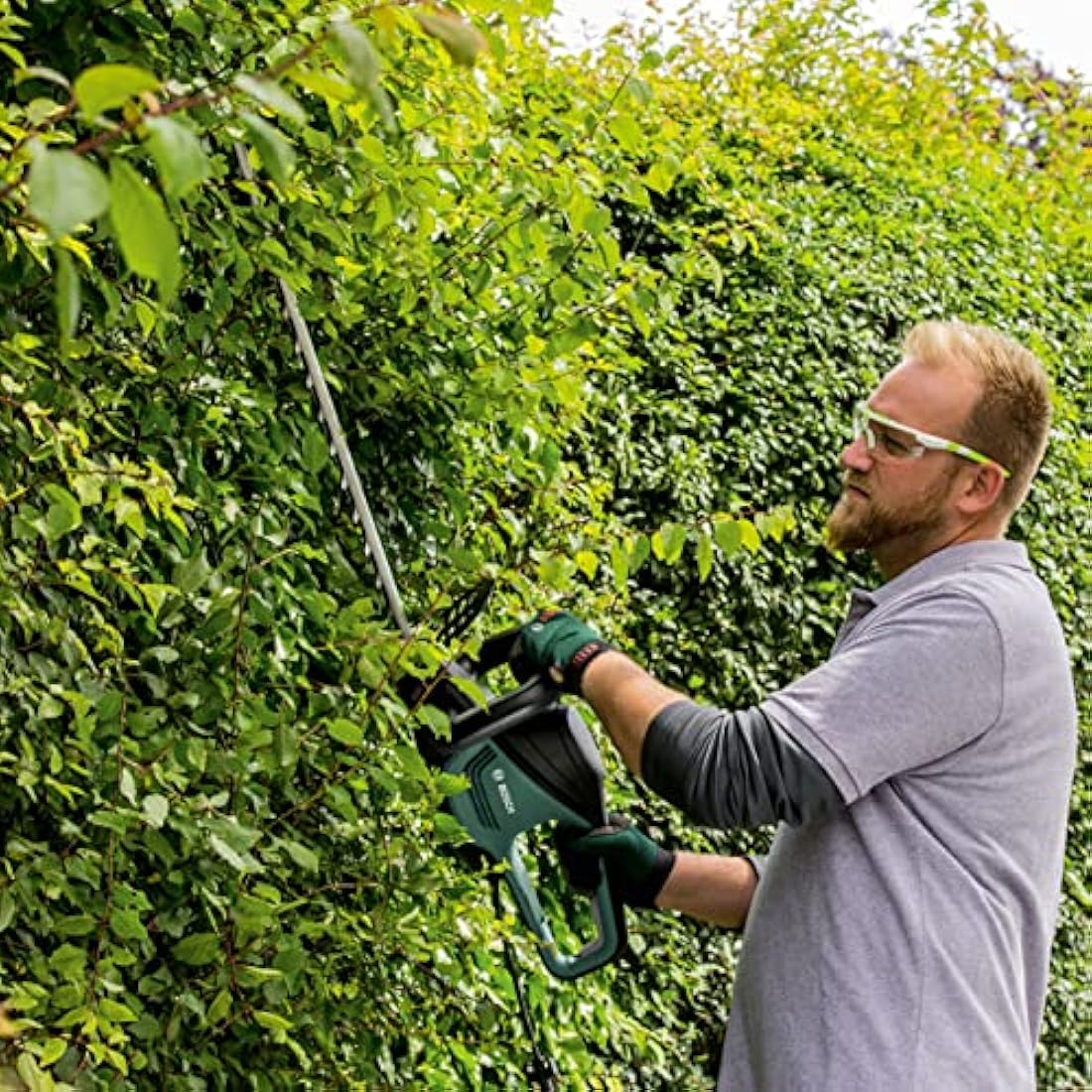 Bosch Hedge Trimmer UniversalHedgeCut 60 (480 W, Blade Length: 60 cm, for Medium Hedges, Tooth Opening: 30 mm, in Carton Packaging)