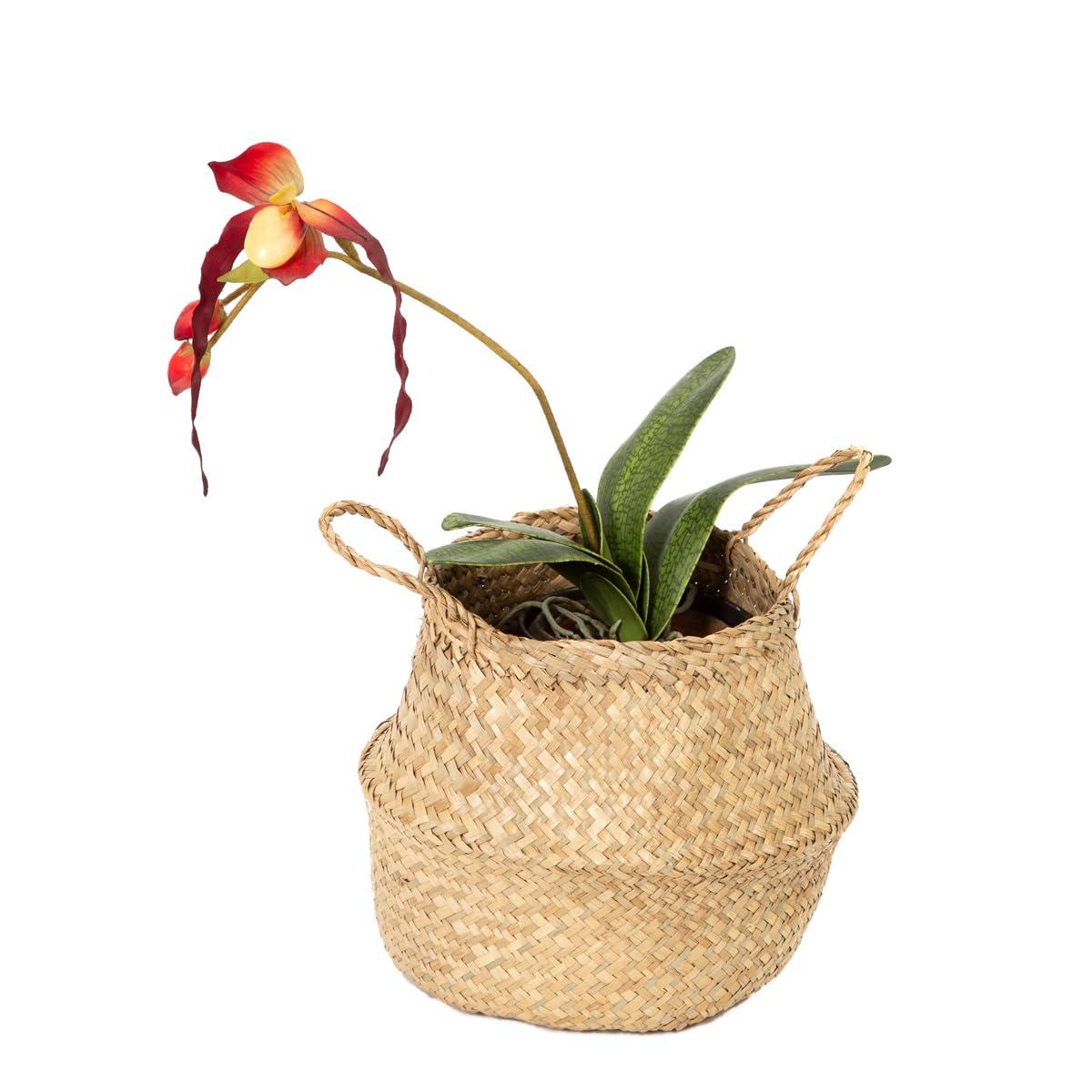 Compactor Belly Collection - Handwoven Seagrass Basket, Medium, Natural, 27X27X26 cm - Sku: RAN8405