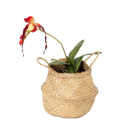 Compactor Belly Collection - Handwoven Seagrass Basket, Medium, Natural, 27X27X26 cm - Sku: RAN8405