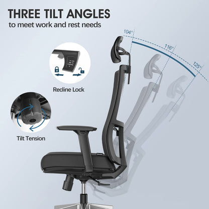 Duwinson Ergonomic Mesh Home Office Chair With Back Support, 3-Way Adjustment Armrest, Executive Desk Chair with Reclining Adjustment