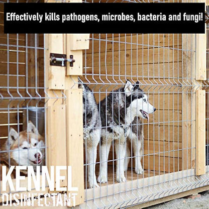 ULTIMA-PLUS XP Kennel Kleen - Disinfectant, Cleaner, Sanitiser, Deodoriser, Concentrated, For use in Kennels, Catteries, Hatches and More! Lavender Fragrance, 5 L