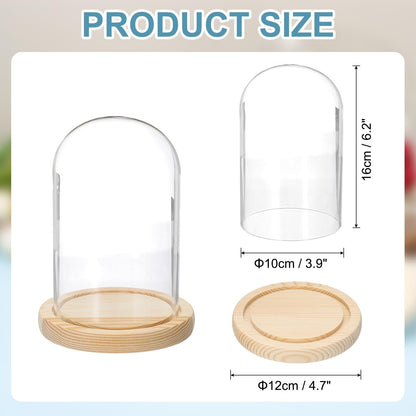 sourcing map Glass Cloche Display Dome, 6.2" x 3.9" Glass Dome Display Case Wood Base Tabletop Jar Case Decorative Bell Jar for Plant Home Decor